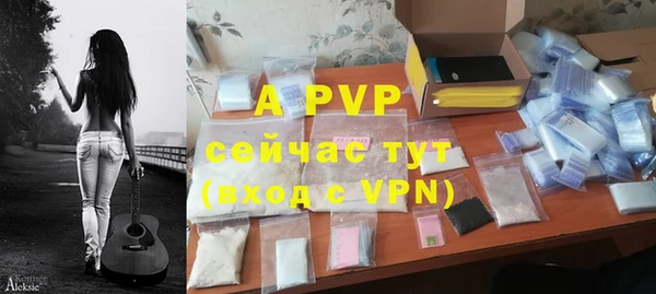 шишки Белокуриха