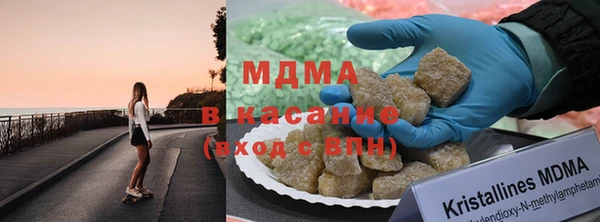 шишки Белокуриха