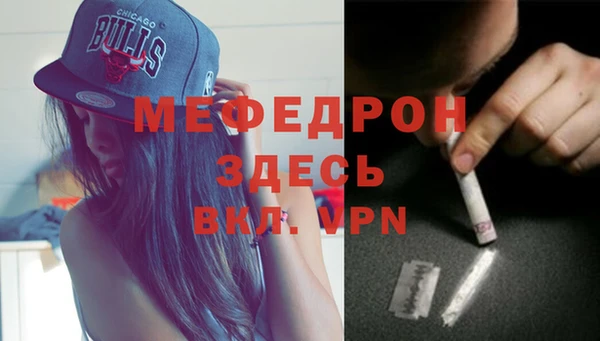 шишки Белокуриха