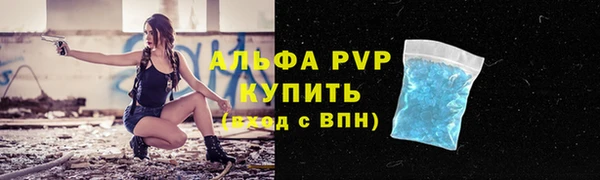 шишки Белокуриха