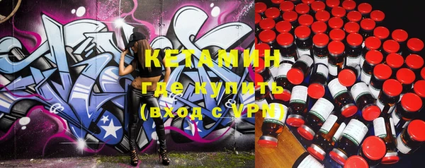 шишки Белокуриха