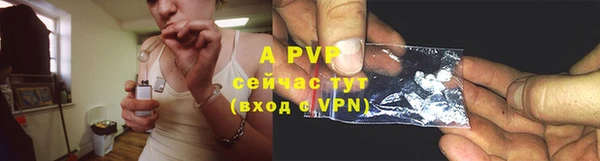 шишки Белокуриха