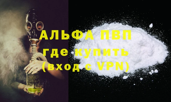 шишки Белокуриха