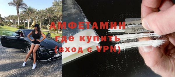 шишки Белокуриха