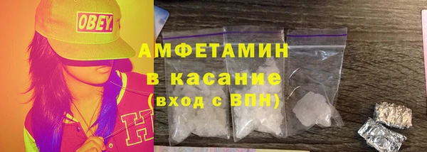 шишки Белокуриха