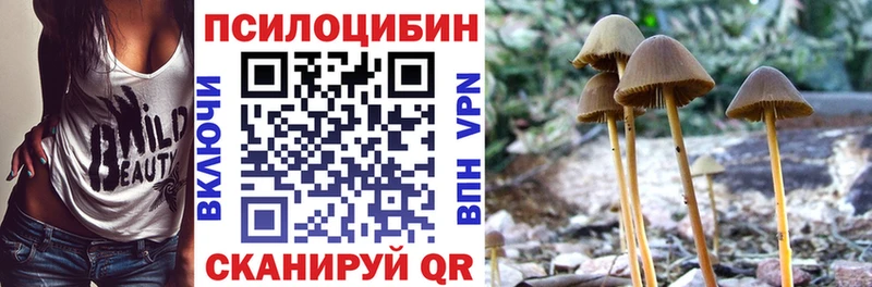 Псилоцибиновые грибы мухоморы Волжск